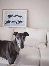 Load image into Gallery viewer, Counting Greyhounds A3 Print by Lisa Hu