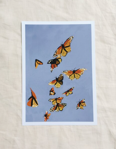 Butterflies in Summer Print