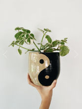 Load image into Gallery viewer, Yin Yang Planter